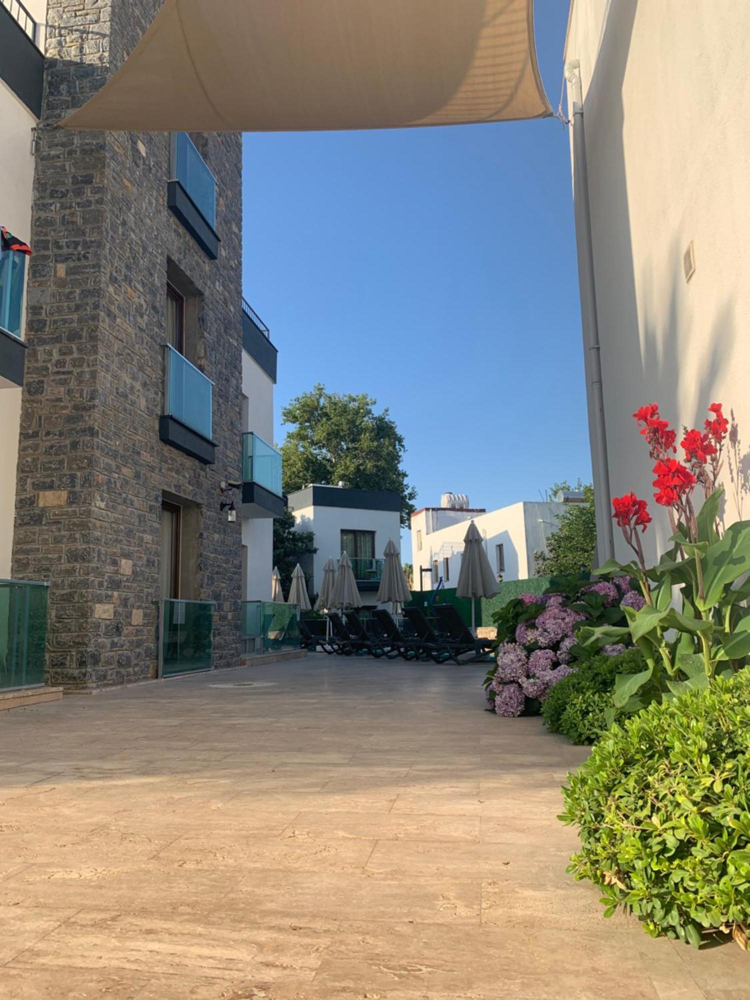Orya Aparts Gümbet Exterior foto