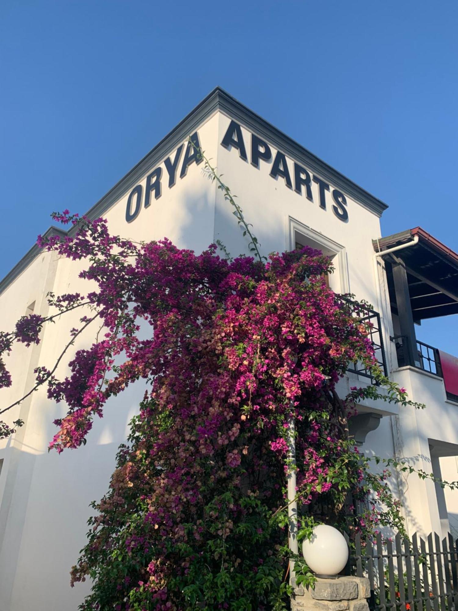 Orya Aparts Gümbet Exterior foto